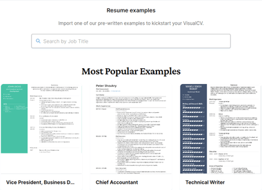 Pharmacist CV Examples Templates VisualCV