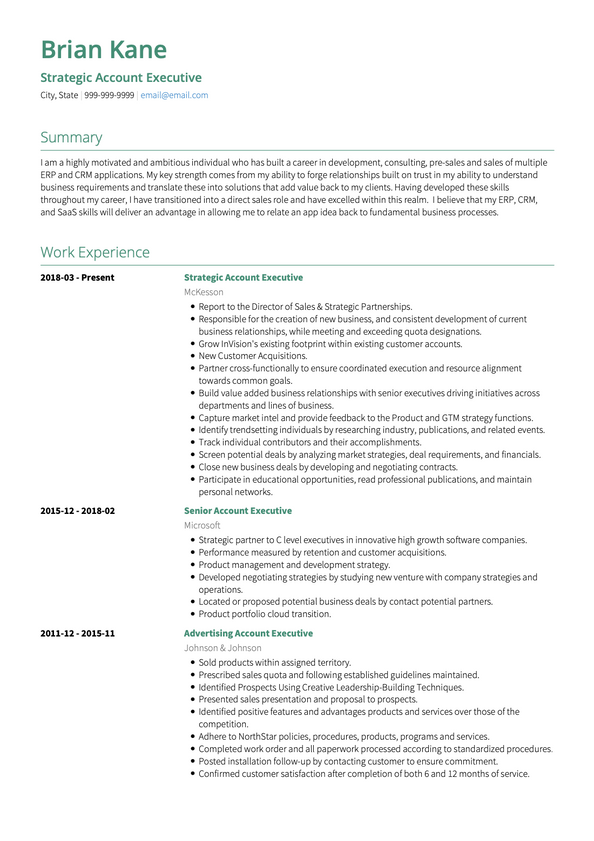 Account Executive Cv Examples Templates Visualcv