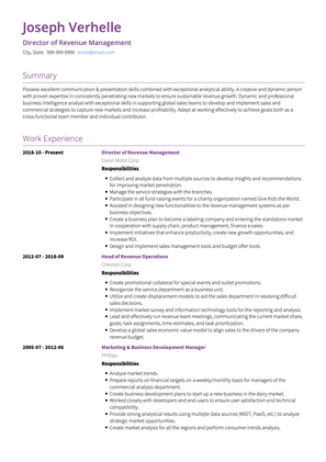 Director of Revenue Management CV Example and Template