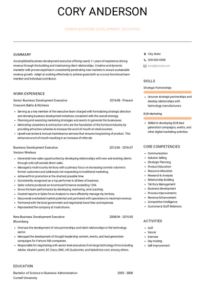 Business Development Executive Resume Samples and Templates | VisualCV