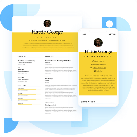 500 Professional Resume Examples And Samples For 22 Visualcv