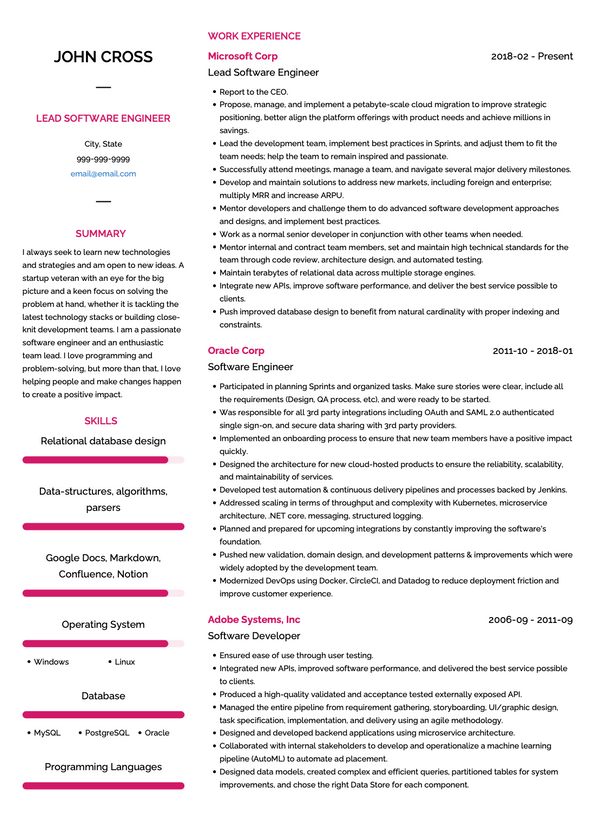 3+ Lead CV Examples and Templates - Example Summary, Work Experience ...