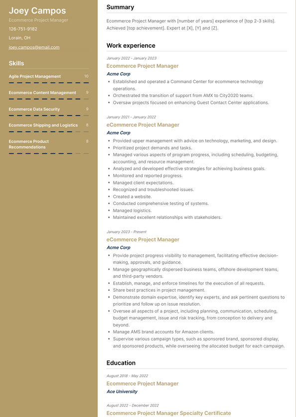Ecommerce Project Manager Resume Examples And Templates