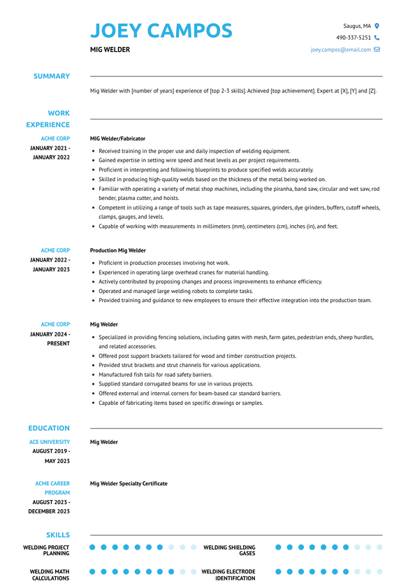 Mig Welder Resume Examples and Templates