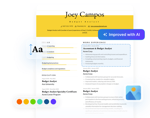 A resume for a budget analyst being edited in VisualCV, with font, color and AI improvement controls around it
