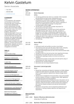 Senior Associate Resume Samples and Templates | VisualCV