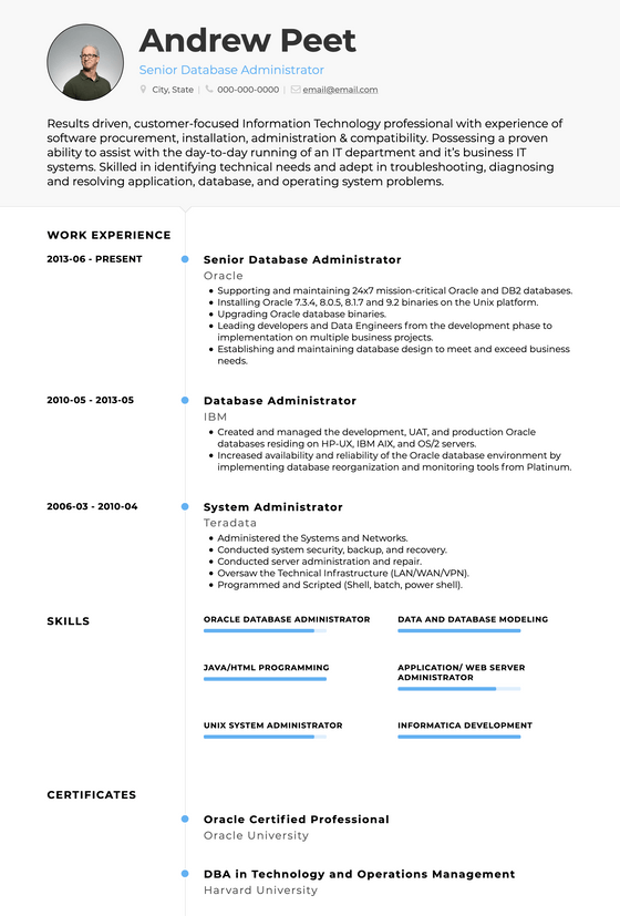 Elegant Resume Template - Air | VisualCV