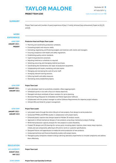 Project Team Lead Resume Examples and Templates