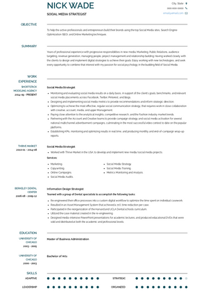 Social Media Strategist Resume Samples And Templates Visualcv