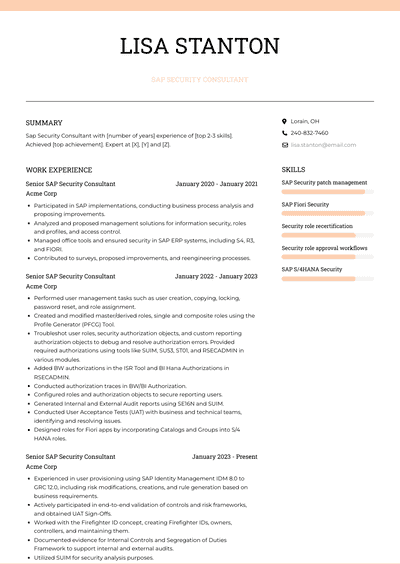 Sap Security Consultant Resume Examples and Templates