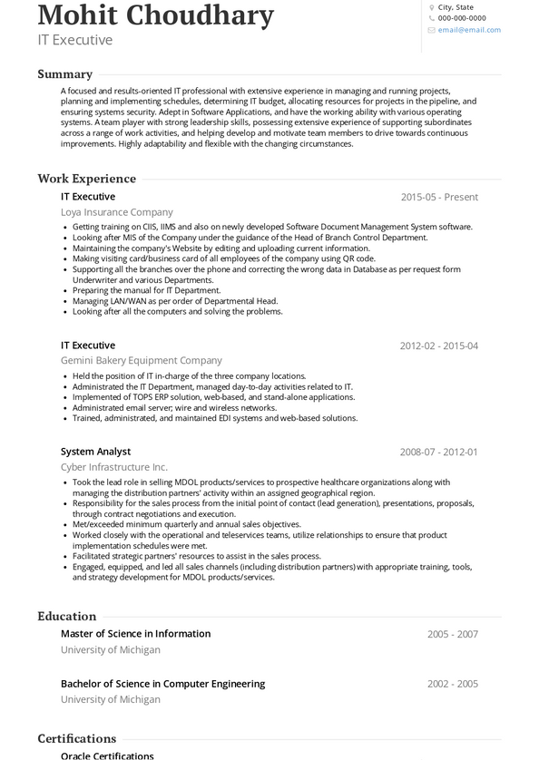 it executive resume summary examples