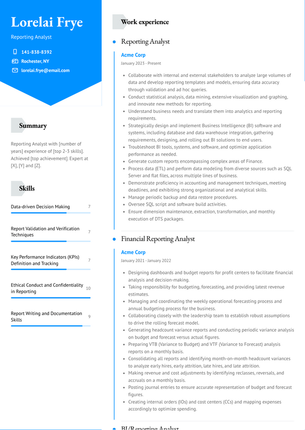 3+ Reporting Analyst Resume Examples and Templates