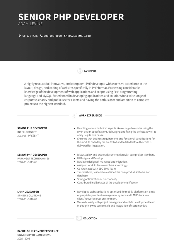 resume summary examples php developer