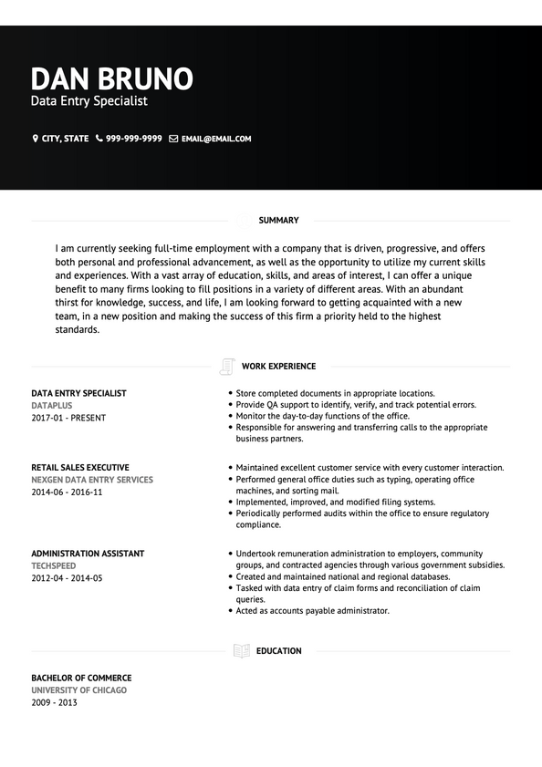 Data Entry CV Examples & Templates | VisualCV