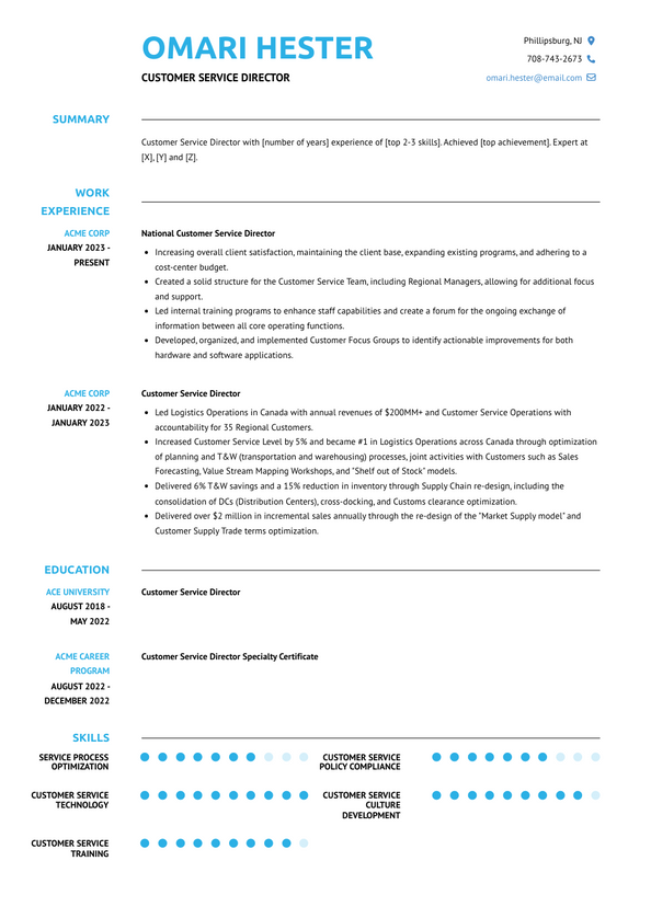 Customer Service Director Resume Examples and Templates