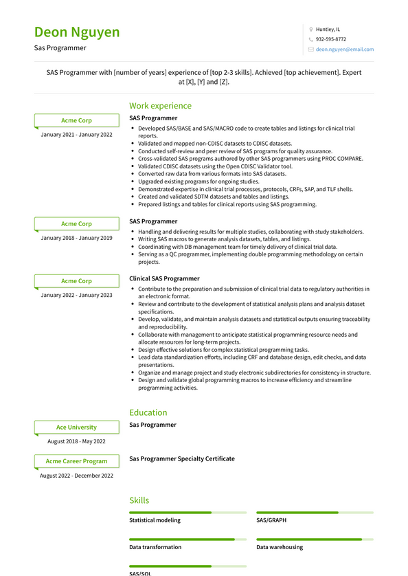 Sas Programmer Resume Examples And Templates 4060