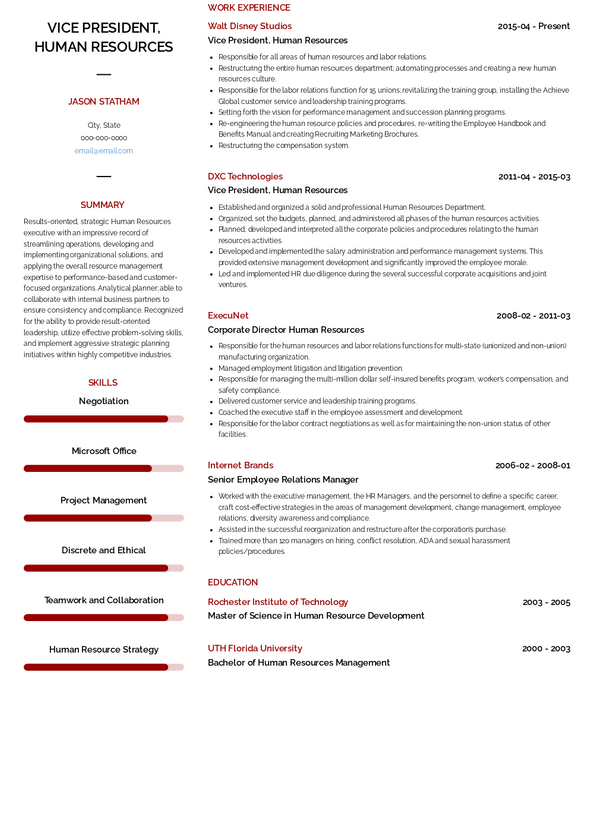 Vice President Resume Samples And Templates Visualcv 6730