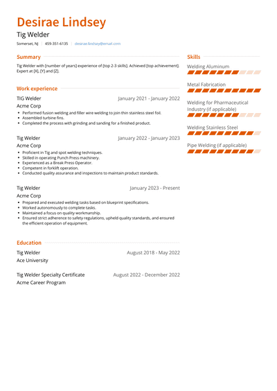 Tig Welder Resume Examples and Templates