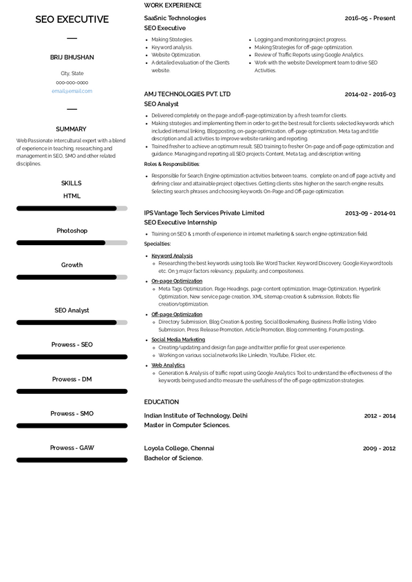 SEO Executive Resume Samples and Templates | VisualCV