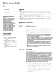 30+ Executive Resume Templates for CEOs, CFOs, COOs, VPs, Directors ...