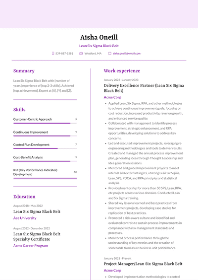 Lean Six Sigma Black Belt Resume Examples and Templates