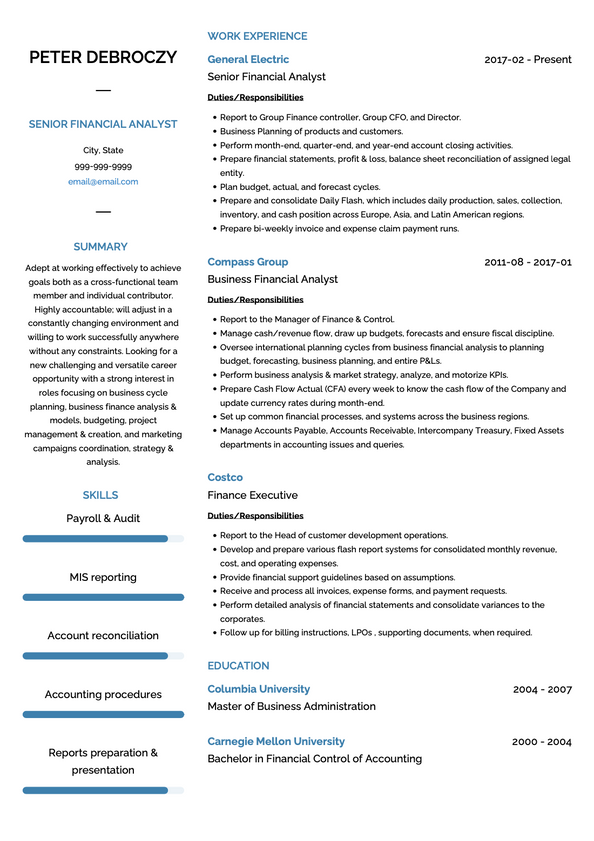 Financial Analyst CV Examples & Templates | VisualCV