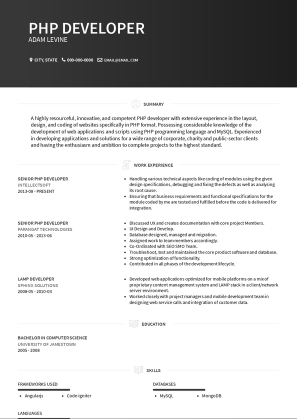 resume summary examples php developer