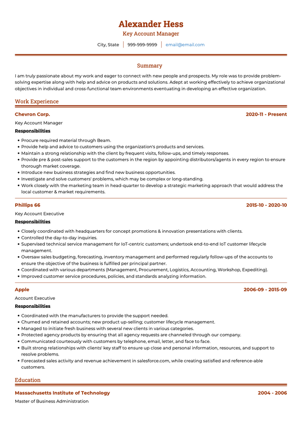 Key Account Manager CV Examples & Templates | VisualCV