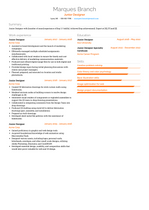 Junior Designer Resume Examples And Templates   Junior Designer Resume Example Vida 