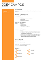 Chiropractor Resume Examples and Templates