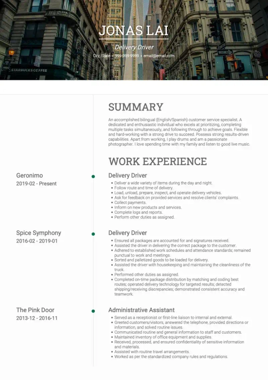 resume summary examples drivers