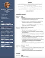 Ejemplos CV Ejecutivo Y Muestras CV En Directo