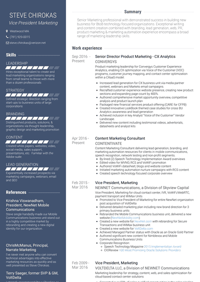 Vice President, Marketing Resume Samples and Templates | VisualCV