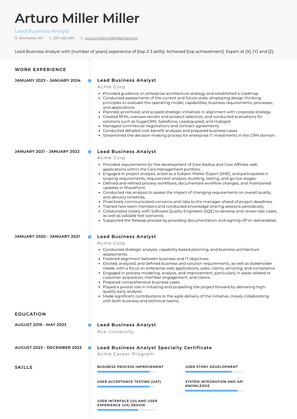 Lead Business Analyst Resume Sample and Template
