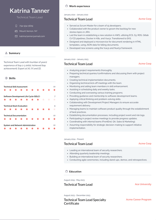 Technical Team Lead Resume Examples and Templates