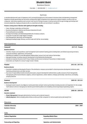 director resume examples 2022