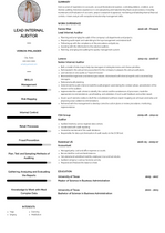 Internal Auditor Resume Samples [+ 3 Examples] | VisualCV