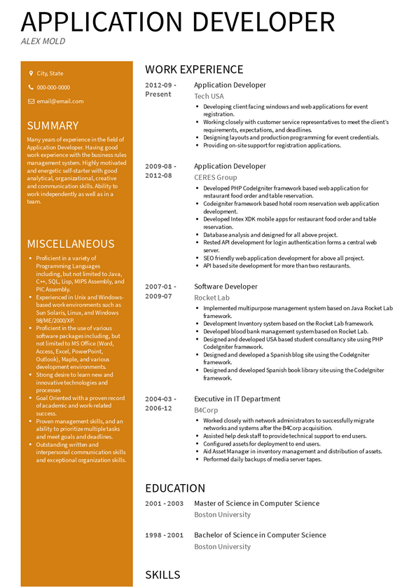 sample resume for application developer