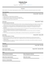 Safety Engineer Resume Examples and Templates