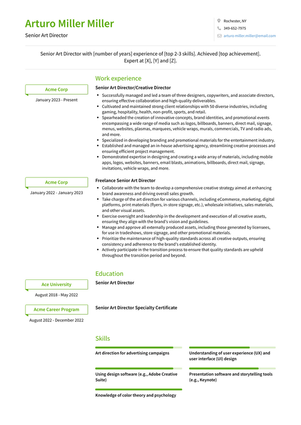 Senior Art Director Resume Examples And Templates