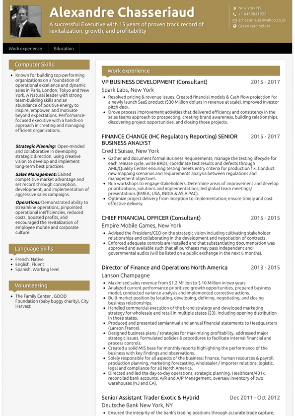 Director of Finance Resume Samples & Examples | VisualCV