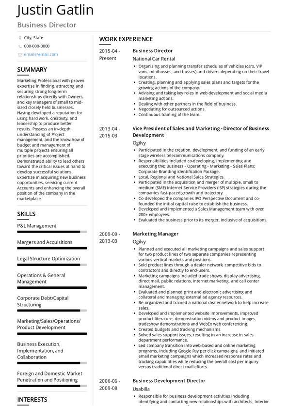 free director level professional resume templates