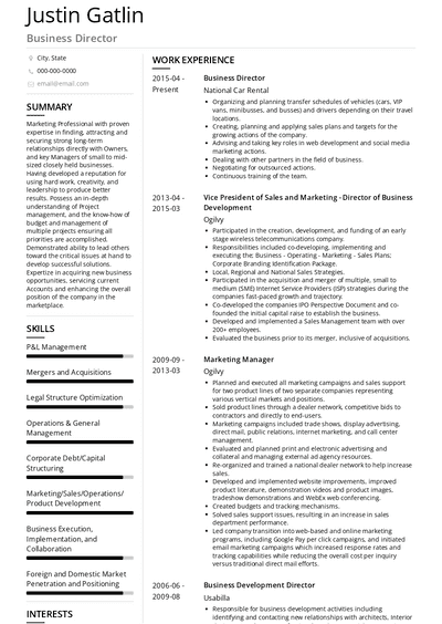 Business Director Resume Samples And Templates 