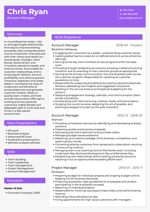 Account Manager CV Example and Template