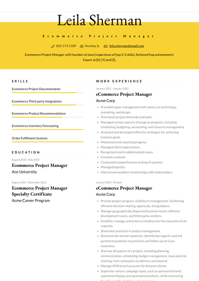 Ecommerce Project Manager Resume Examples And Templates