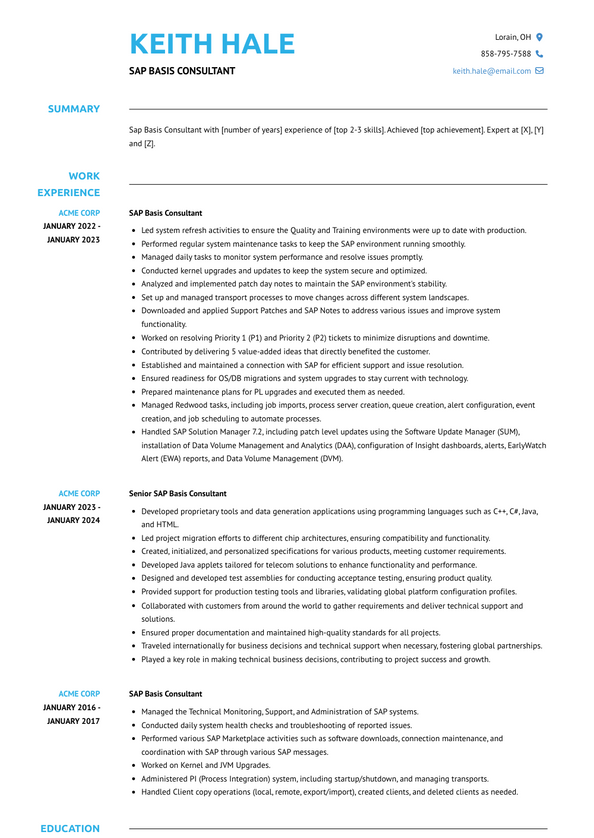 Sap Basis Consultant Resume Examples and Templates