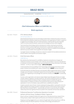 Professional Executive It And Business Operations Consultant Resume Sample and Template