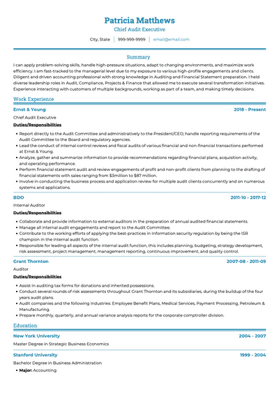 Auditor CV Examples & Templates | VisualCV