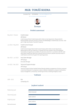 It Analyst Resume Samples and Templates | VisualCV
