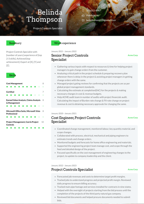 project-controls-specialist-resume-examples-and-templates